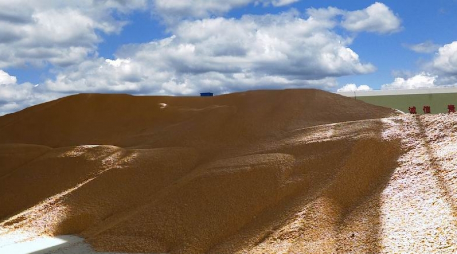 臺(tái)安稷豐糧食經(jīng)銷(xiāo)有限公司